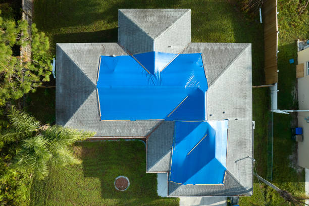 Best Green or Eco-Friendly Roofing Solutions  in Lealman, FL